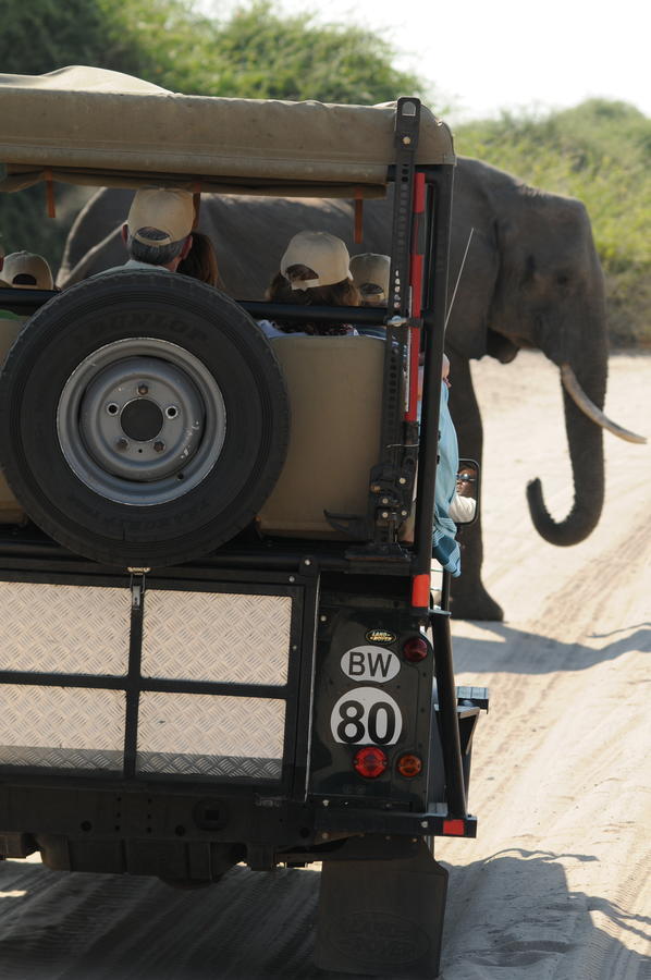 Ngoma Safari Lodge Kavimba Kültér fotó