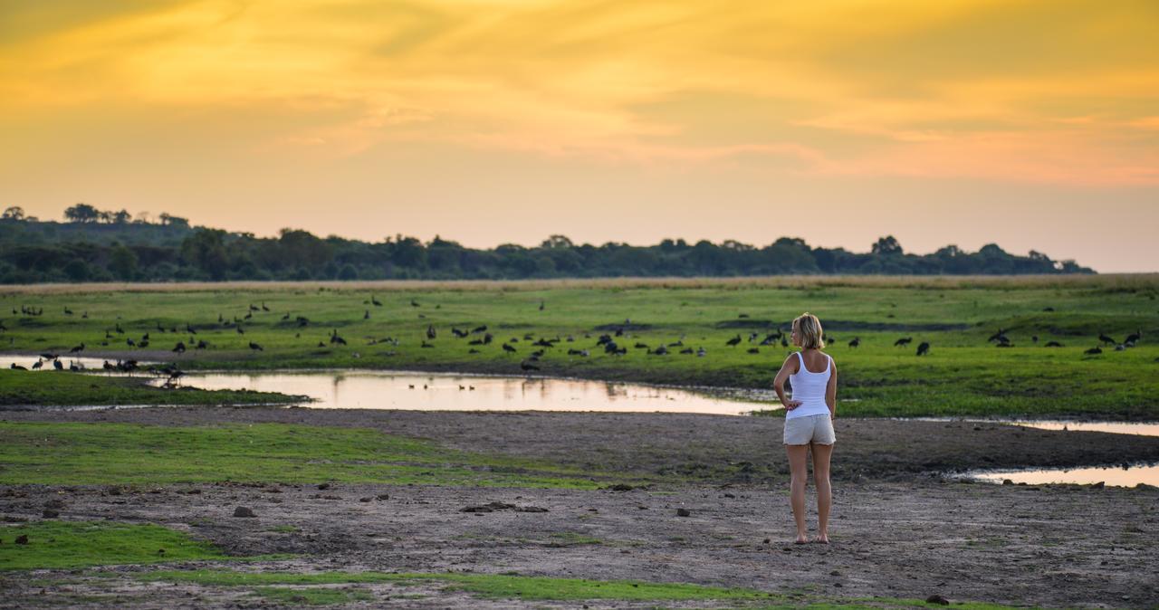 Ngoma Safari Lodge Kavimba Kültér fotó