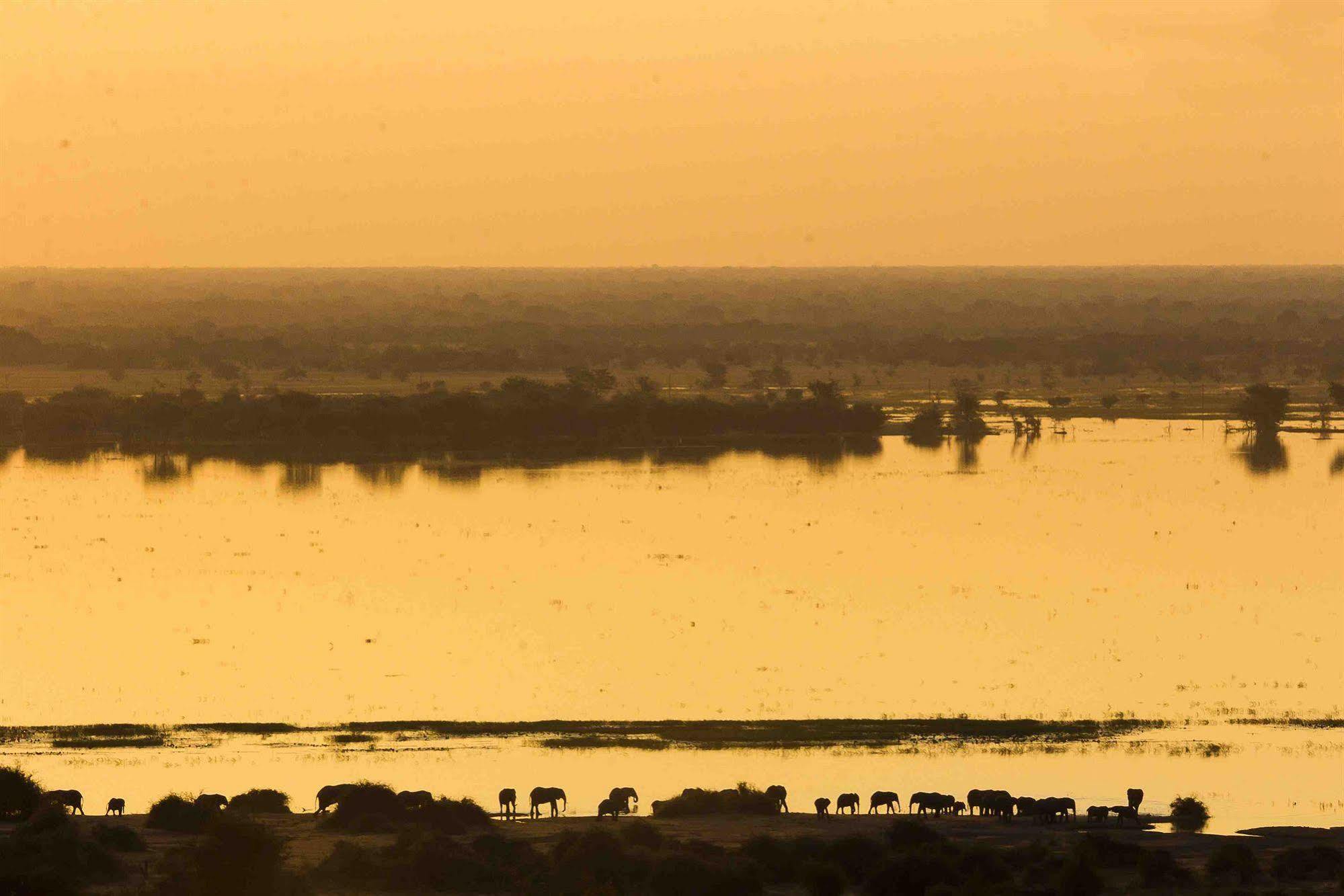 Ngoma Safari Lodge Kavimba Kültér fotó