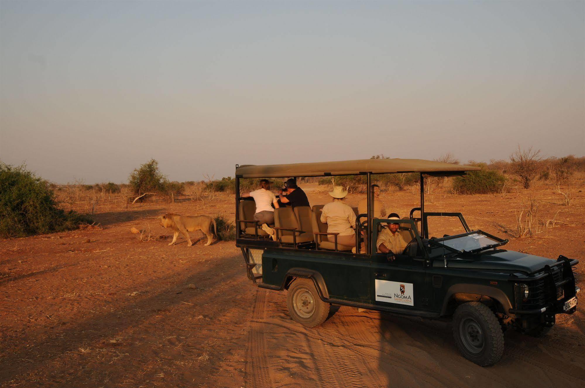 Ngoma Safari Lodge Kavimba Kültér fotó