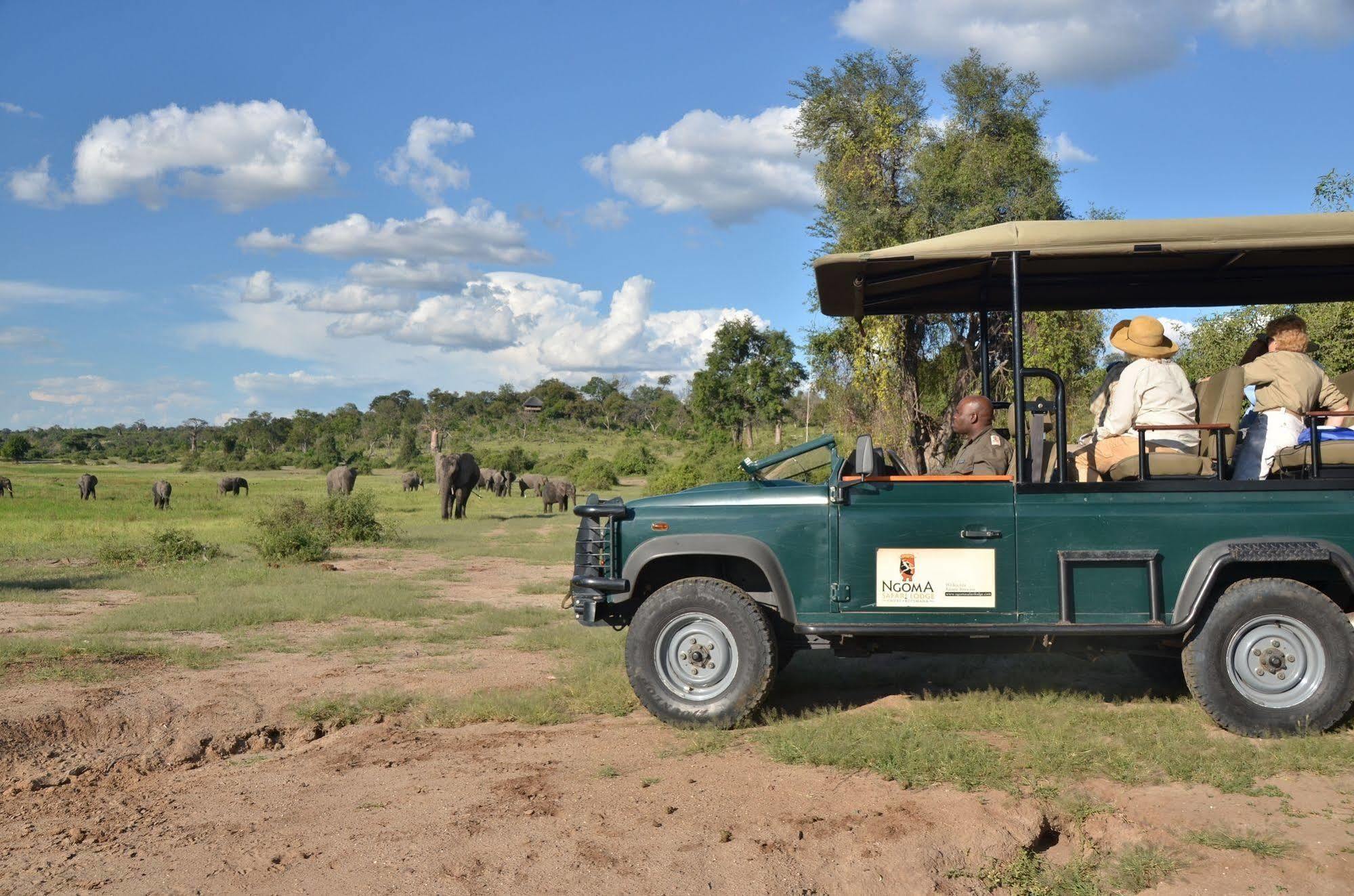 Ngoma Safari Lodge Kavimba Kültér fotó